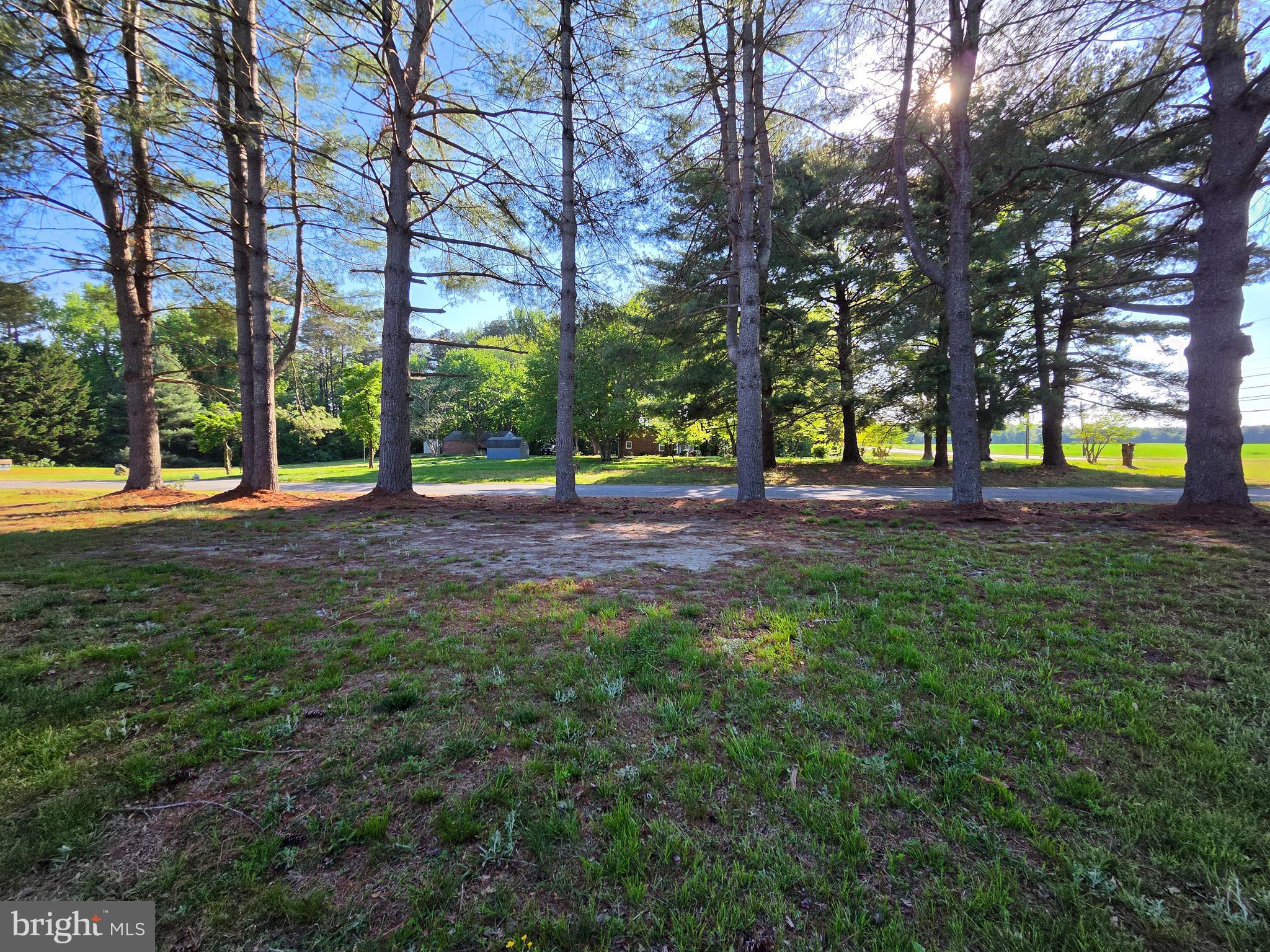 31 Bunker Hill Road Farnham, VA 22460 - Photo 15 of 19