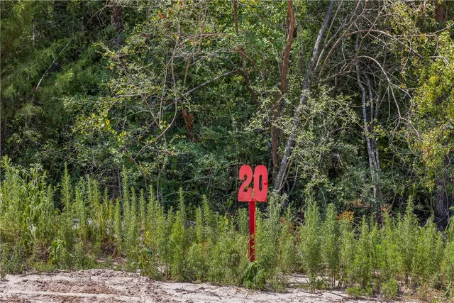 a front view of a house with a yard and lake view