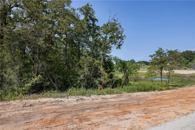 a view of a yard with a tree