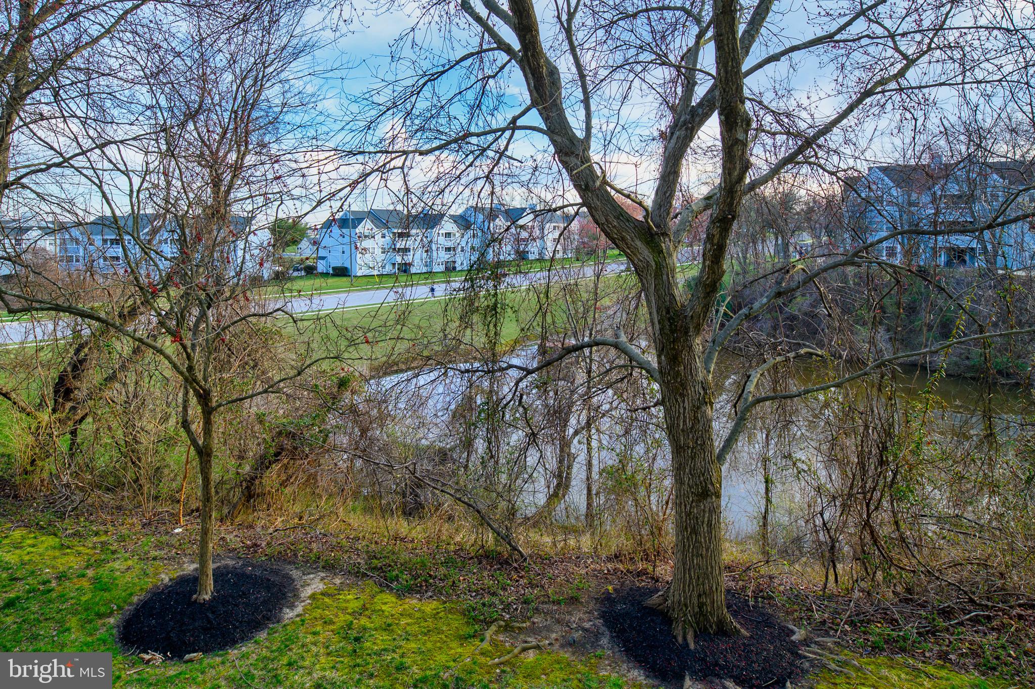 8360 Montgomery Run Road, Unit G Ellicott City, MD 21043 - Photo 5 of 20 a backyard of a house with lots of green space