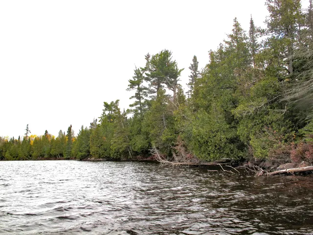$550,000 | Lot 2 Fullerton Road, Grand Marais, MN 55604