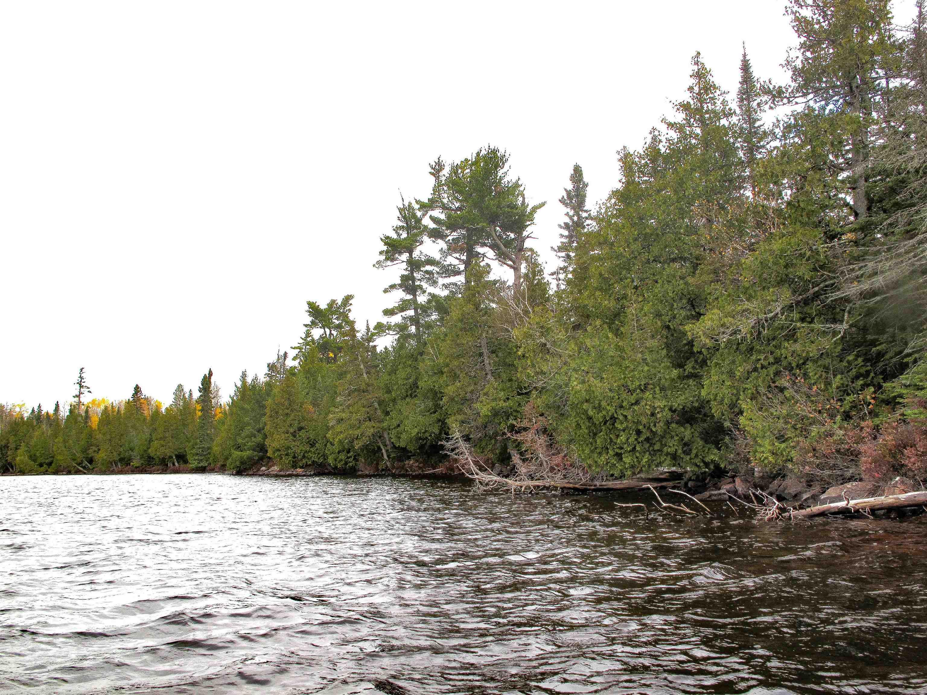 Lot 2 Fullerton Road Grand Marais, MN 55604 - Photo 16 of 37