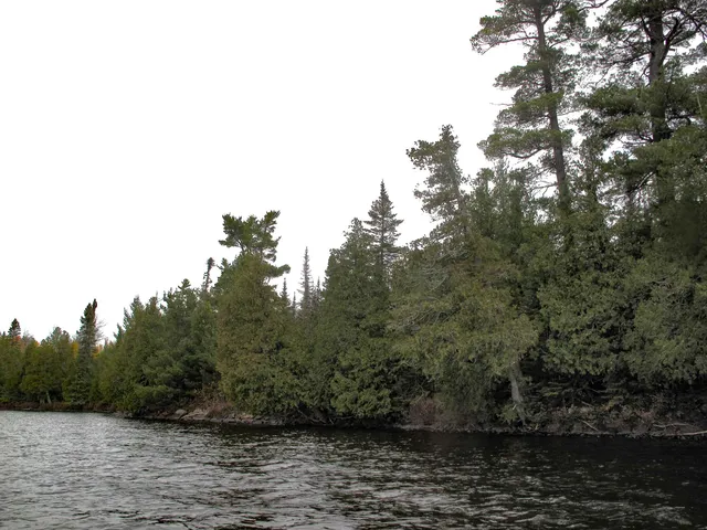 $550,000 | Lot 2 Fullerton Road, Grand Marais, MN 55604