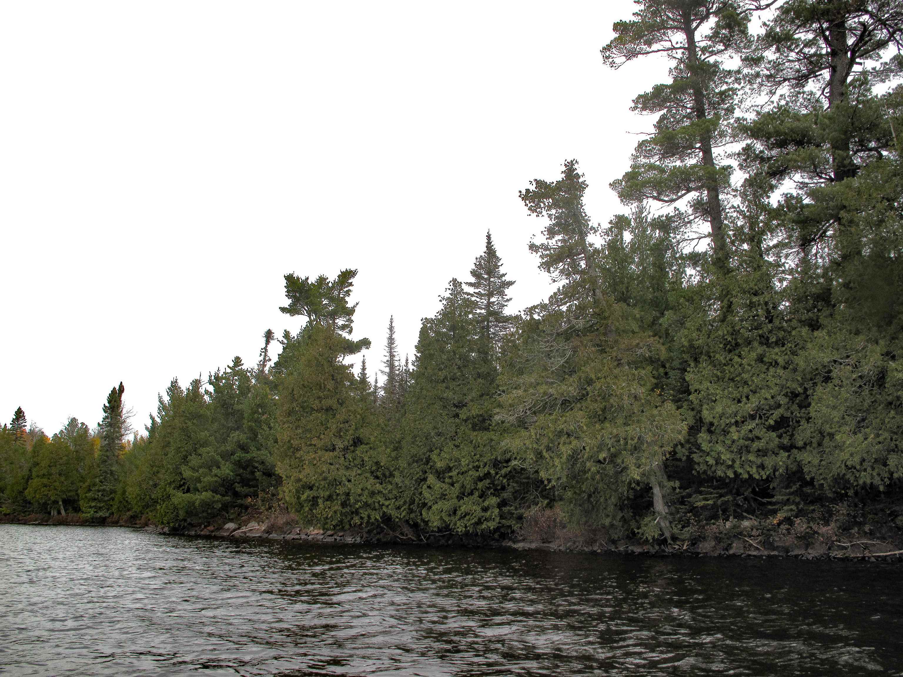 Lot 2 Fullerton Road Grand Marais, MN 55604 - Photo 17 of 37