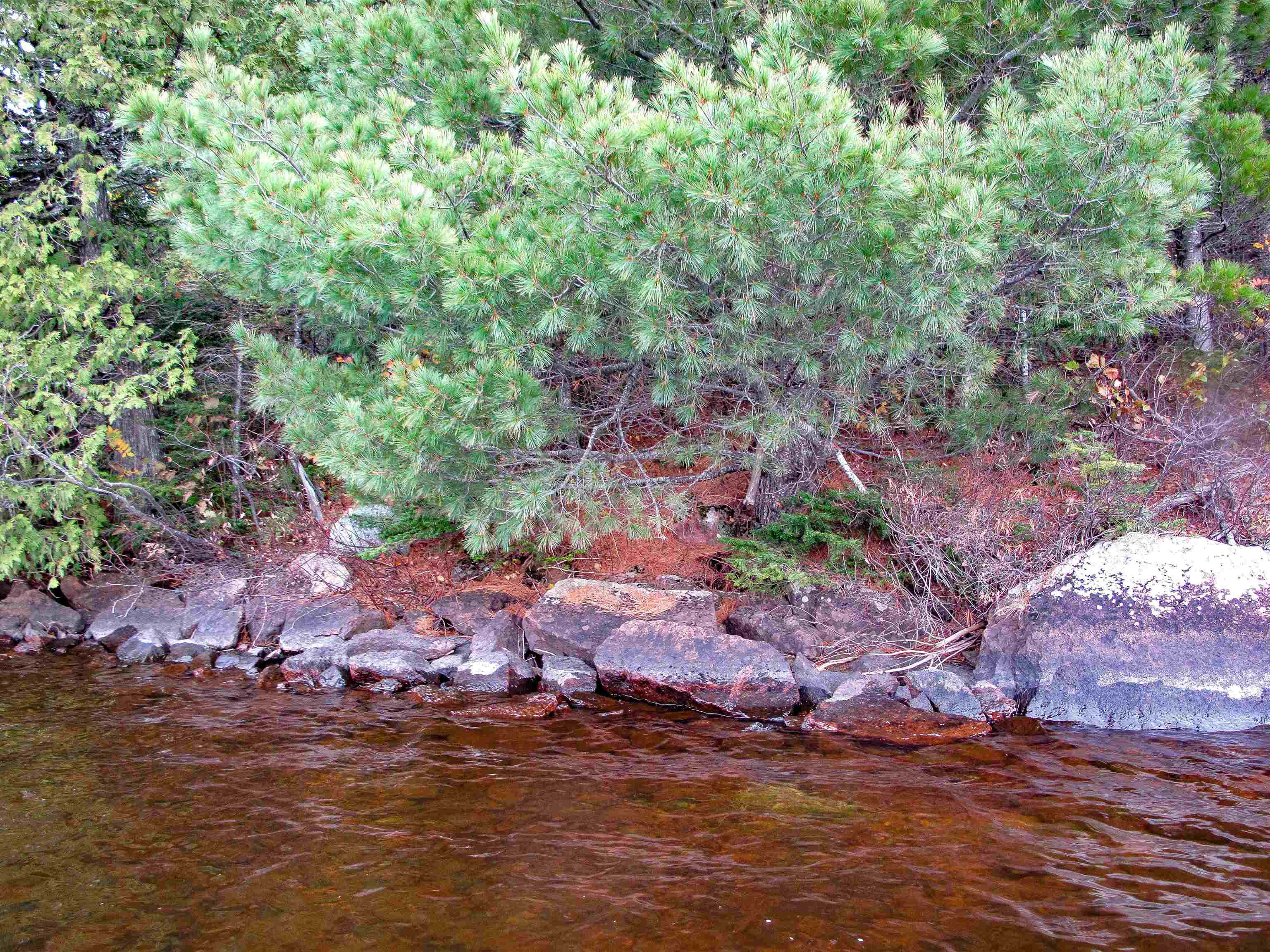 Lot 2 Fullerton Road Grand Marais, MN 55604 - Photo 18 of 37