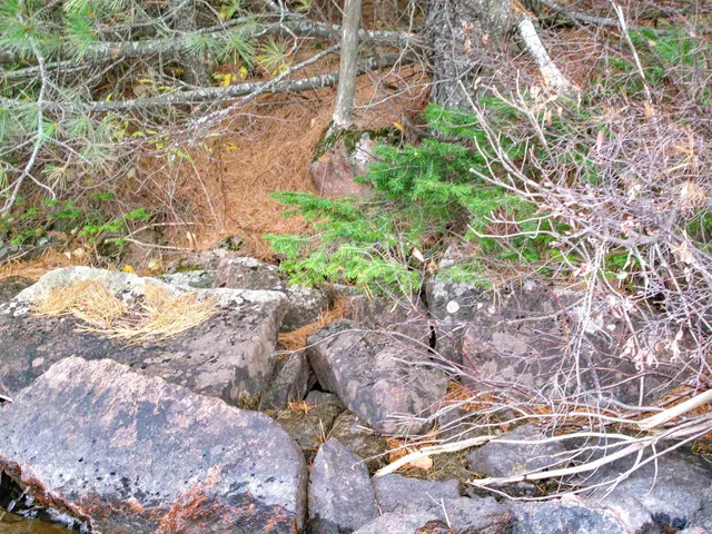 $550,000 | Lot 2 Fullerton Road, Grand Marais, MN 55604