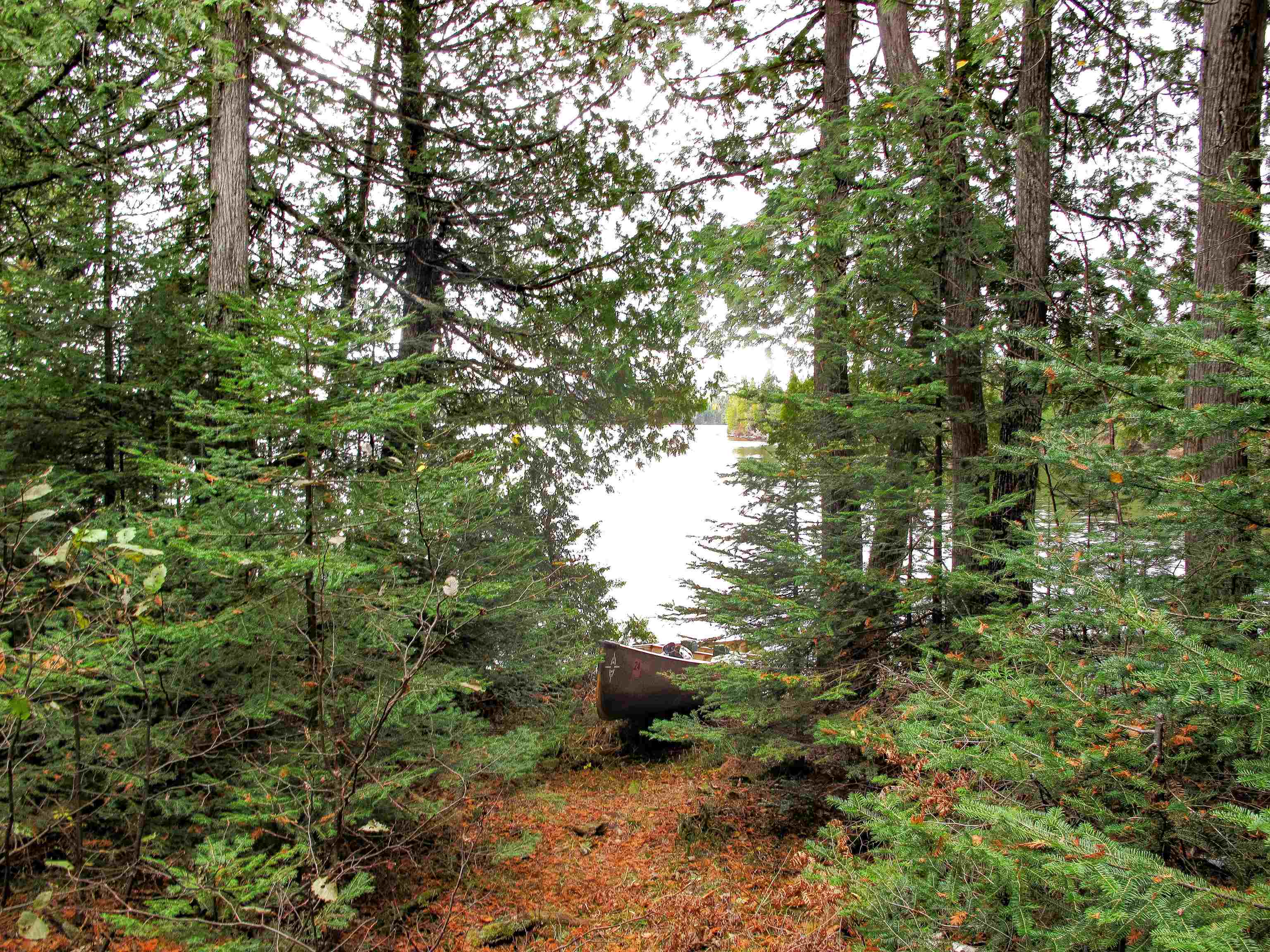 Lot 2 Fullerton Road Grand Marais, MN 55604 - Photo 20 of 37