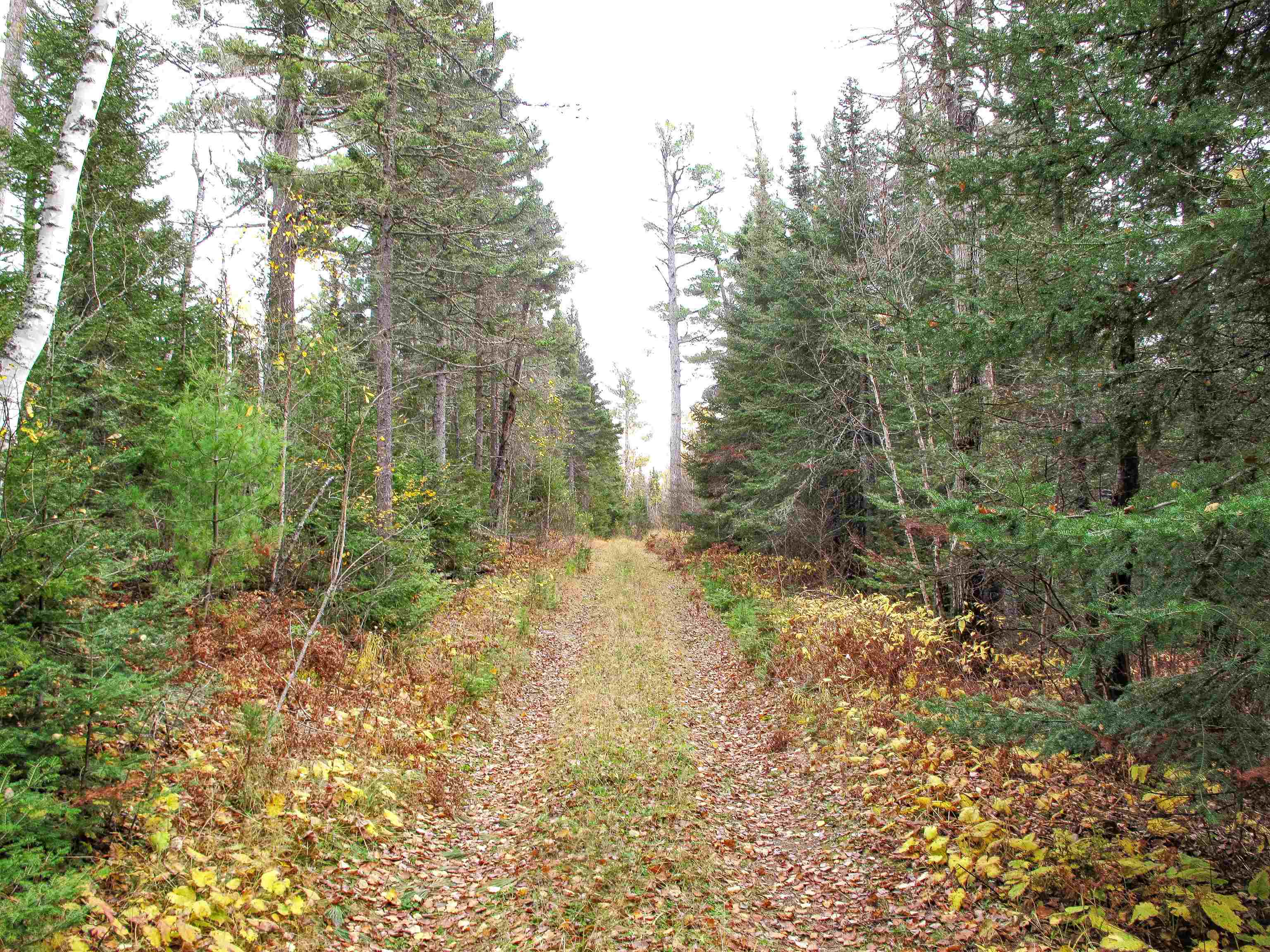 Lot 2 Fullerton Road Grand Marais, MN 55604 - Photo 24 of 37