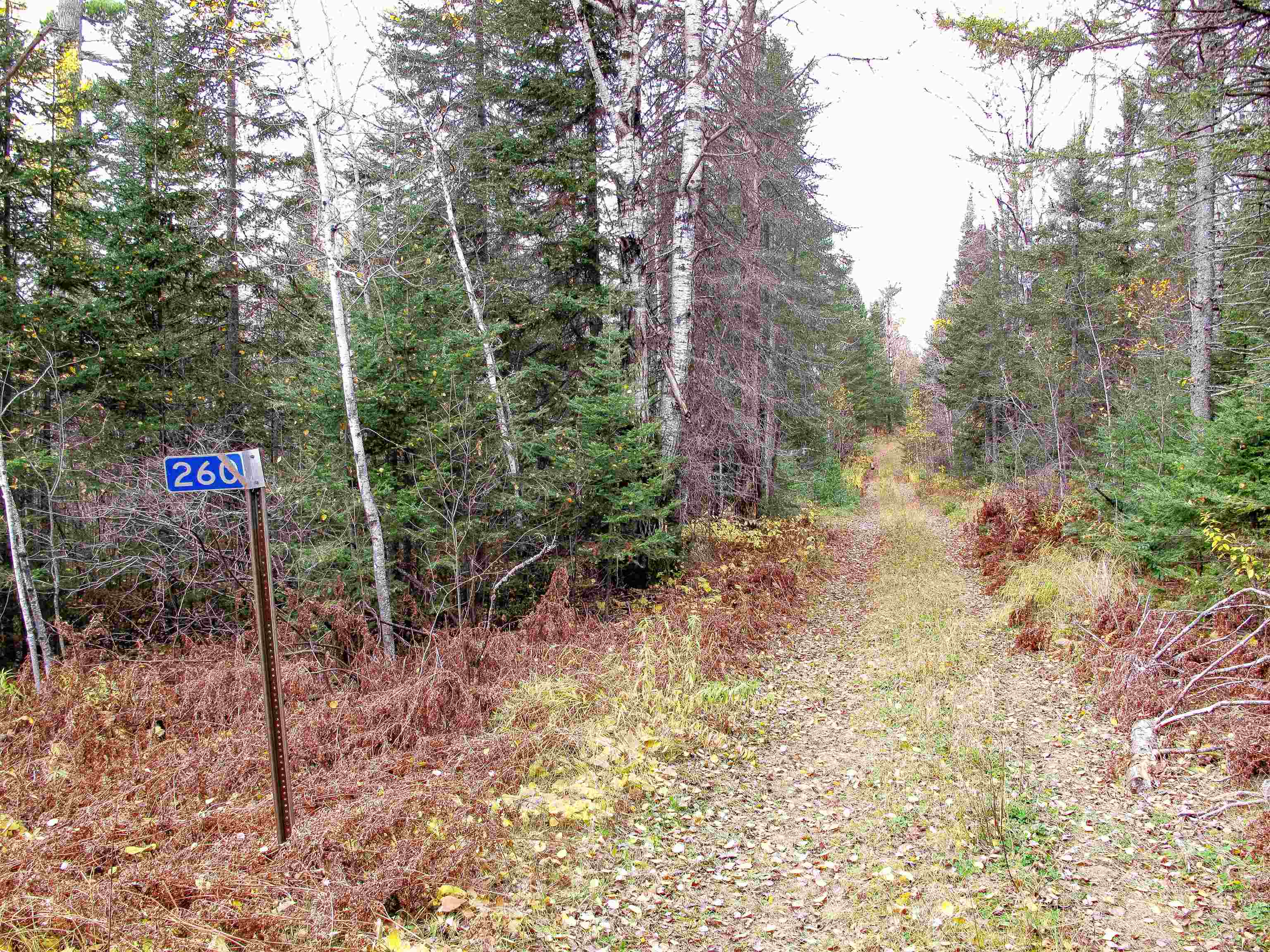Lot 2 Fullerton Road Grand Marais, MN 55604 - Photo 25 of 37