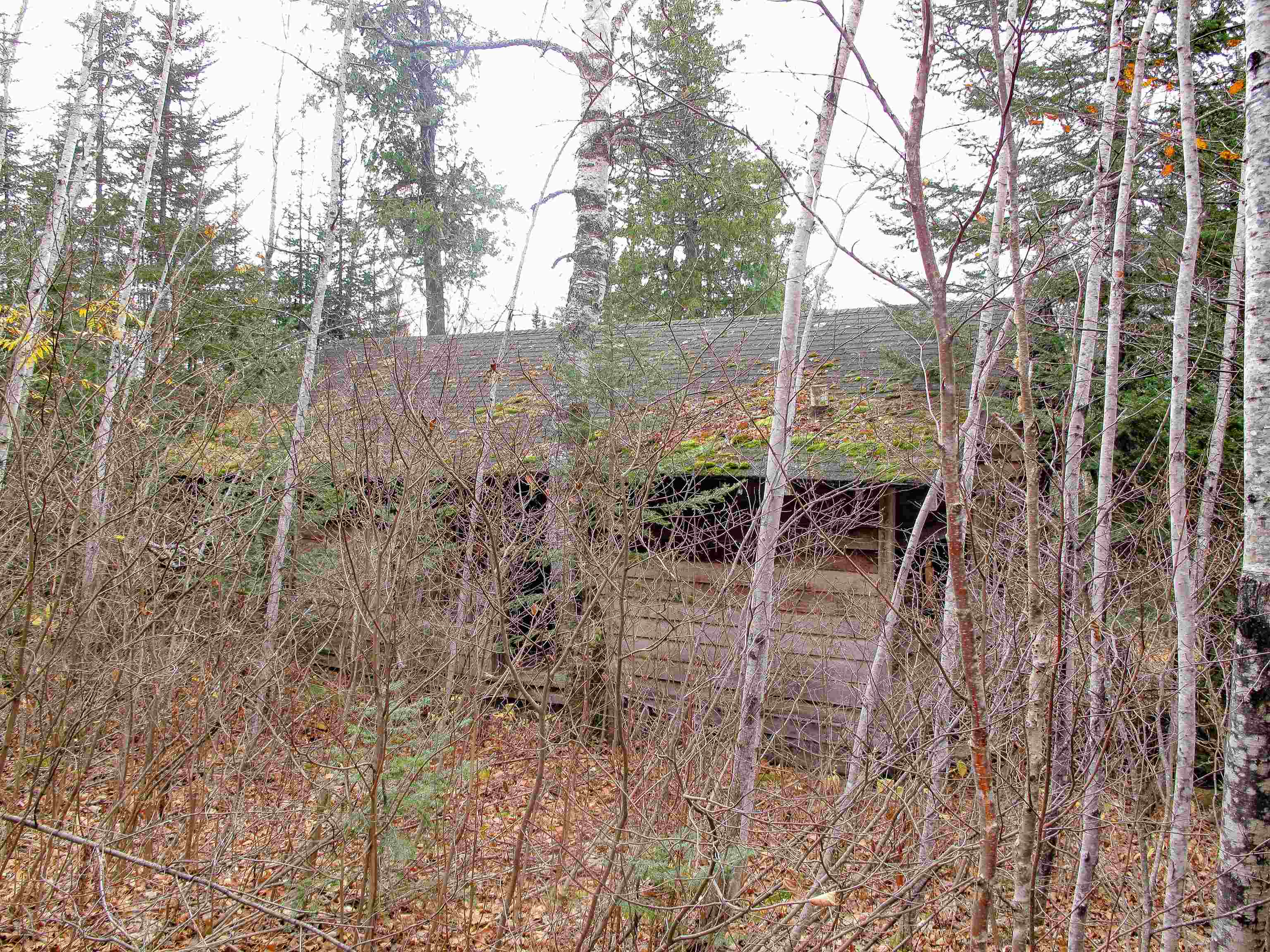 Lot 2 Fullerton Road Grand Marais, MN 55604 - Photo 27 of 37