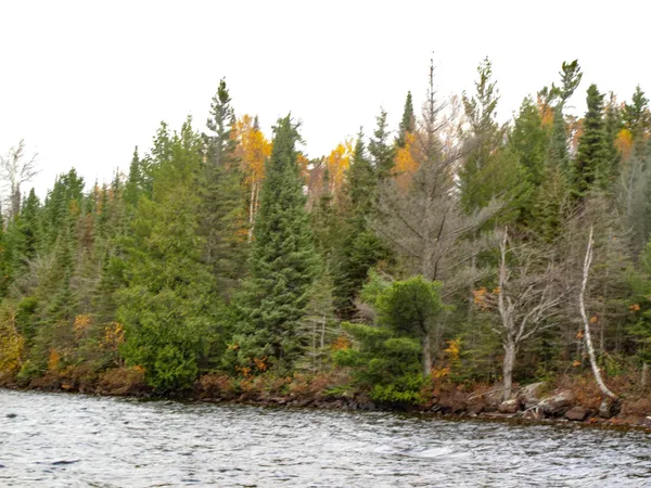 $550,000 | Lot 2 Fullerton Road, Grand Marais, MN 55604