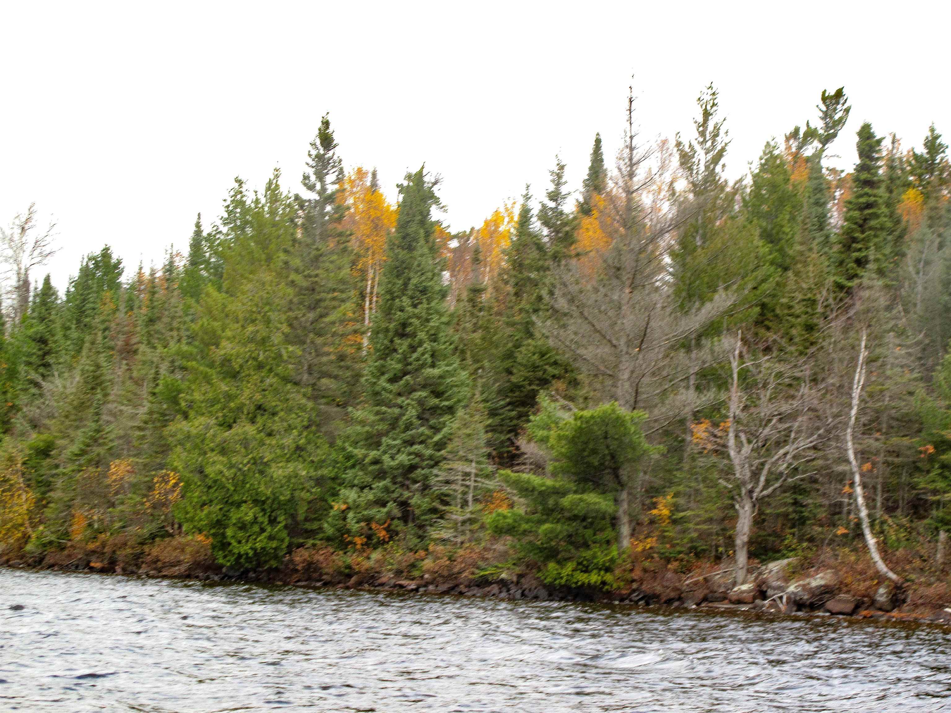 Lot 2 Fullerton Road Grand Marais, MN 55604 - Photo 6 of 37