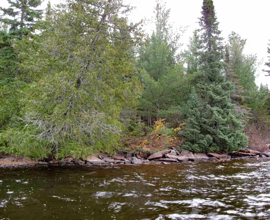 $550,000 | Lot 2 Fullerton Road, Grand Marais, MN 55604