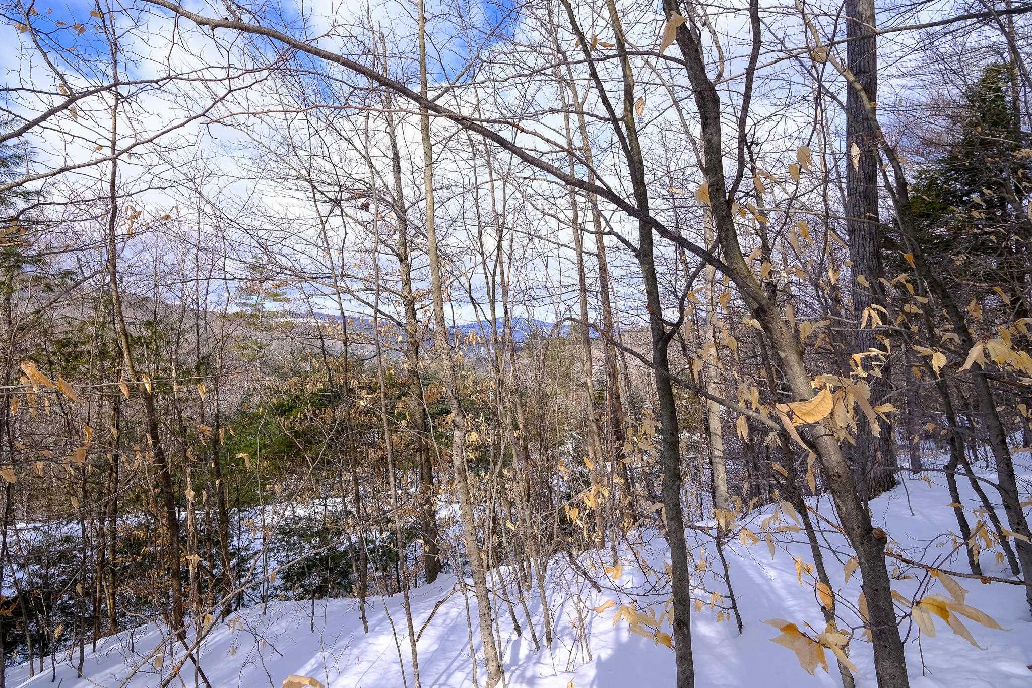 0 High Ridge Road, Unit 71 Proctorsville, VT 05153 - Photo 5 of 19