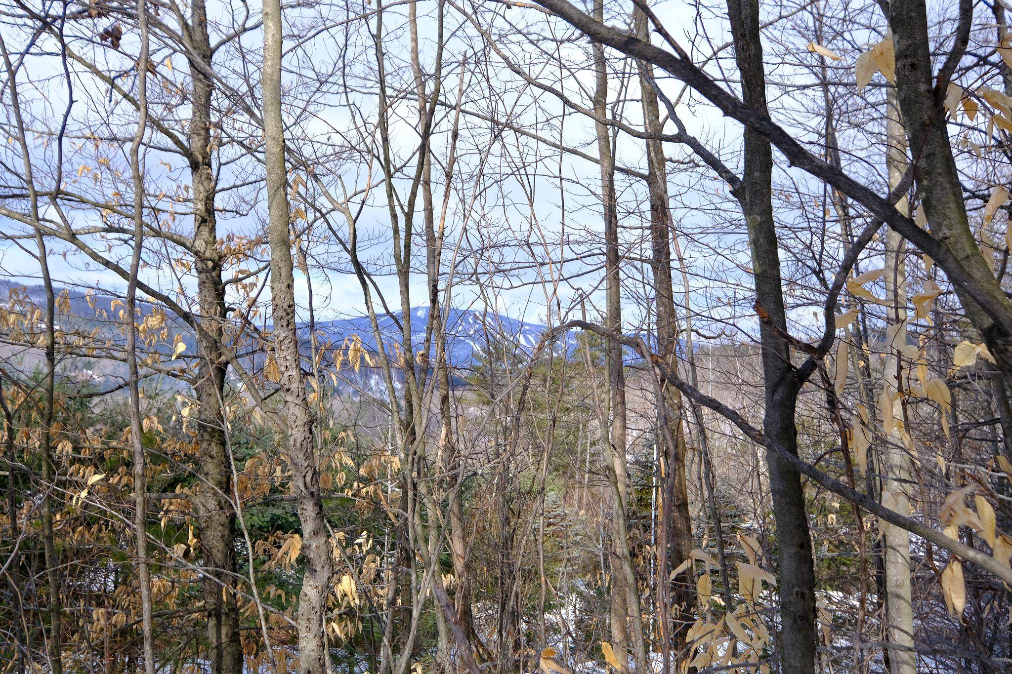 0 High Ridge Road, Unit 71 Proctorsville, VT 05153 - Photo 6 of 19