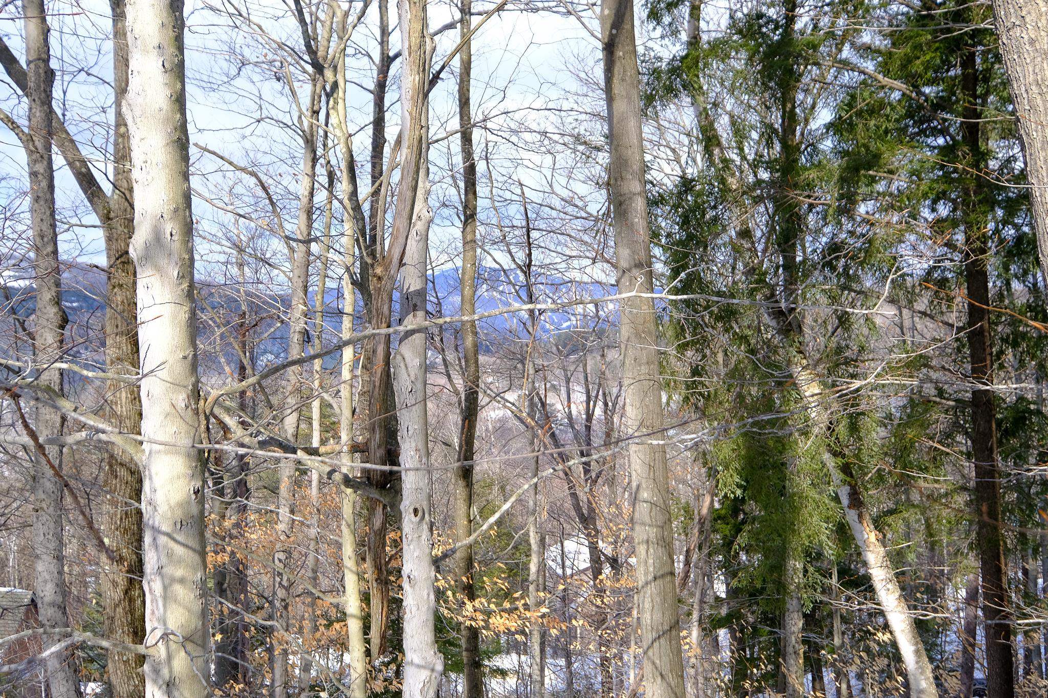 0 High Ridge Road, Unit 71 Proctorsville, VT 05153 - Photo 7 of 19