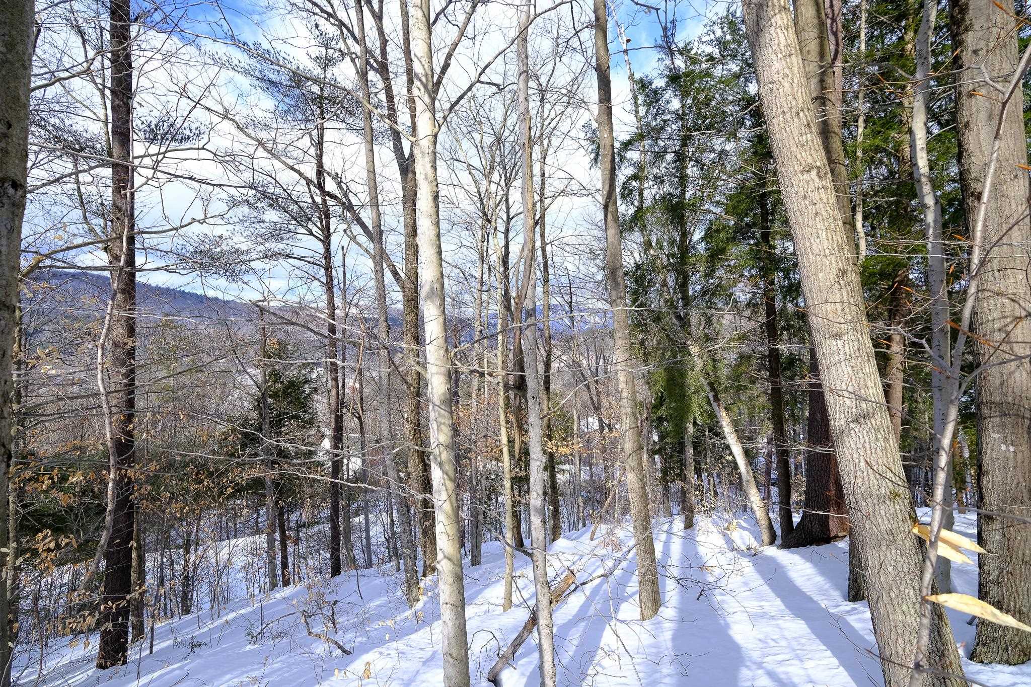 0 High Ridge Road, Unit 71 Proctorsville, VT 05153 - Photo 8 of 19