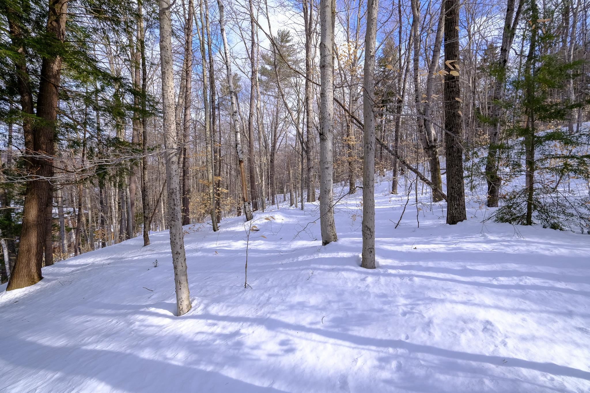 0 High Ridge Road, Unit 71 Proctorsville, VT 05153 - Photo 9 of 19