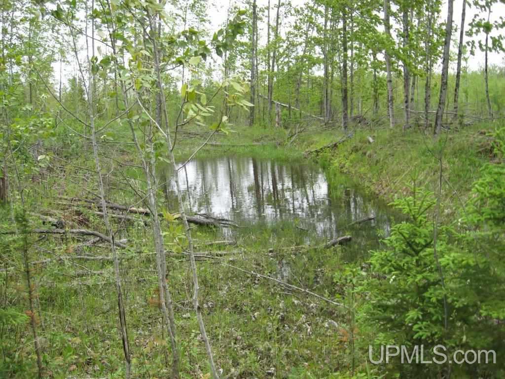 Tbd Co Rd H26 Rock, MI 49880 - Photo 13 of 17