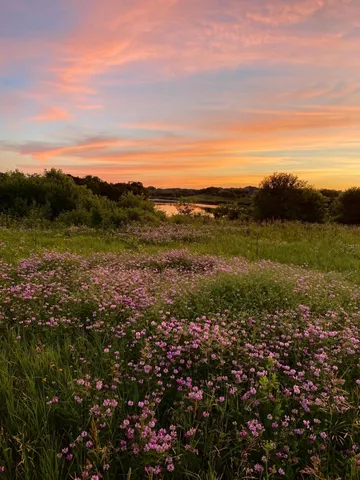 $547,500 | 1310 Lone Pine Drive Southwest, Rochester, MN 55902