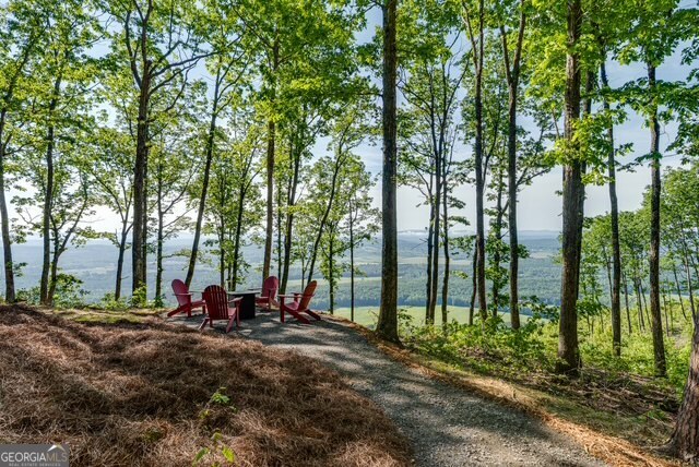 205 Sky View Drive Menlo, GA 30731 - Photo 24 of 34