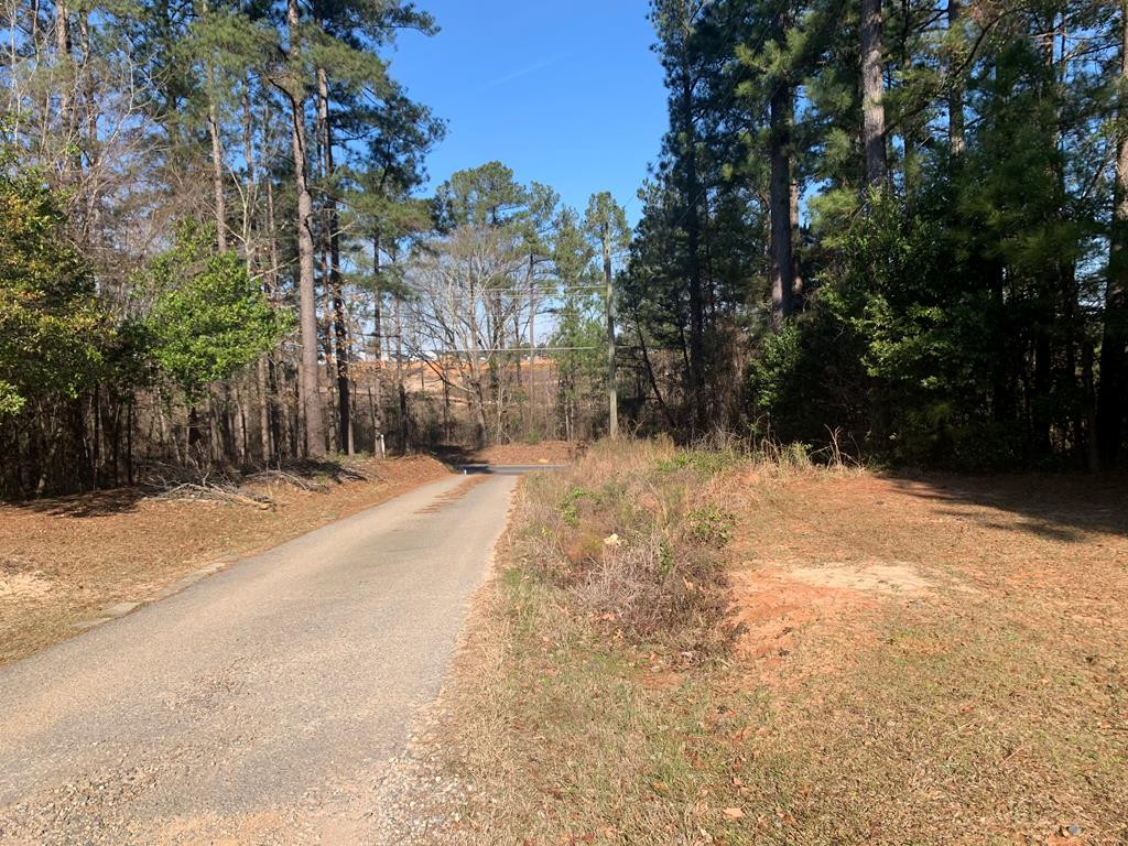 83 Pine Log Road Johnston, SC 29832 - Photo 1 of 5