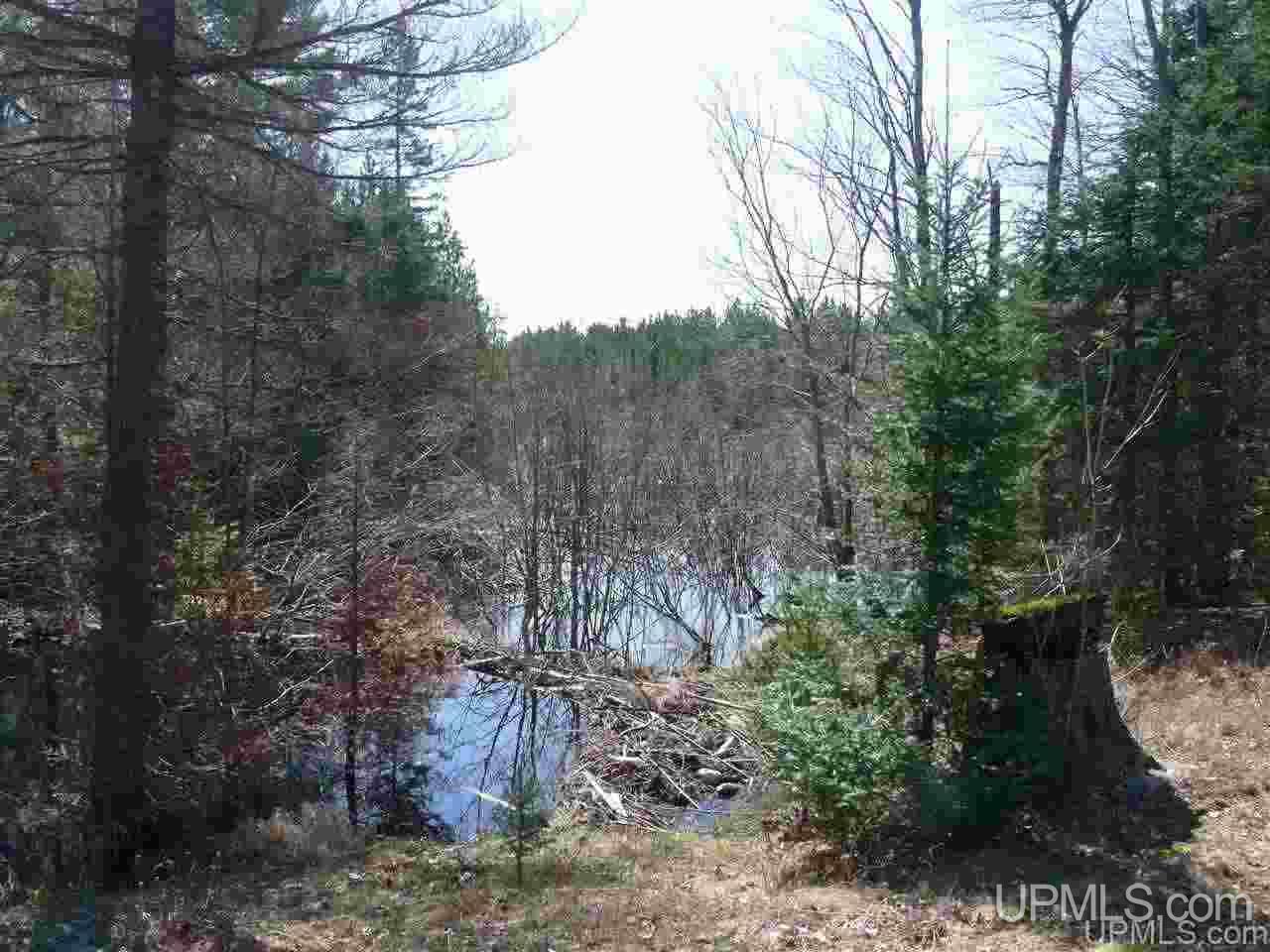 N3302 16 16 Mile Lake Road Munising, MI 49862 - Photo 4 of 6