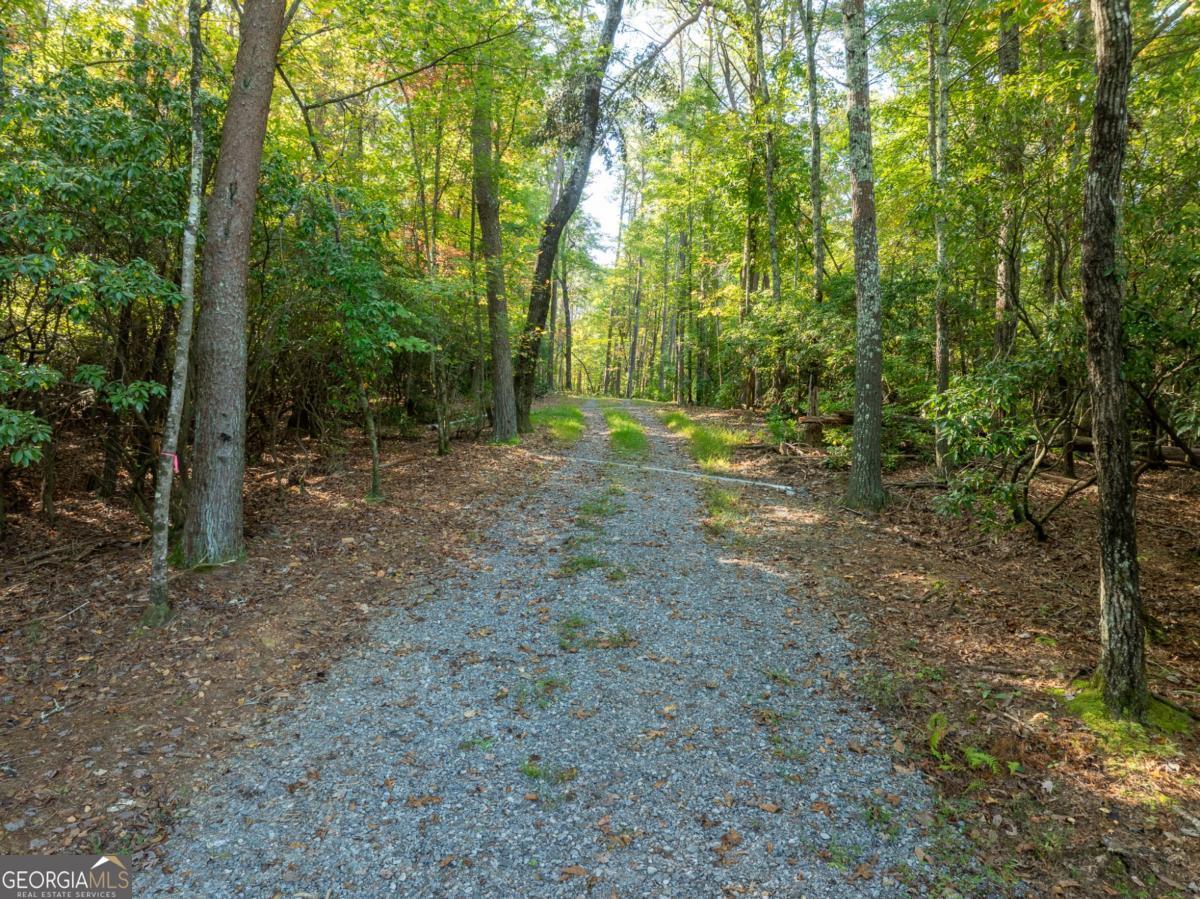 1 Turniptown Road Ellijay, GA 30536 - Photo 19 of 19 Gallery Image 19