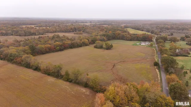 an aerial view of houses covered in trees