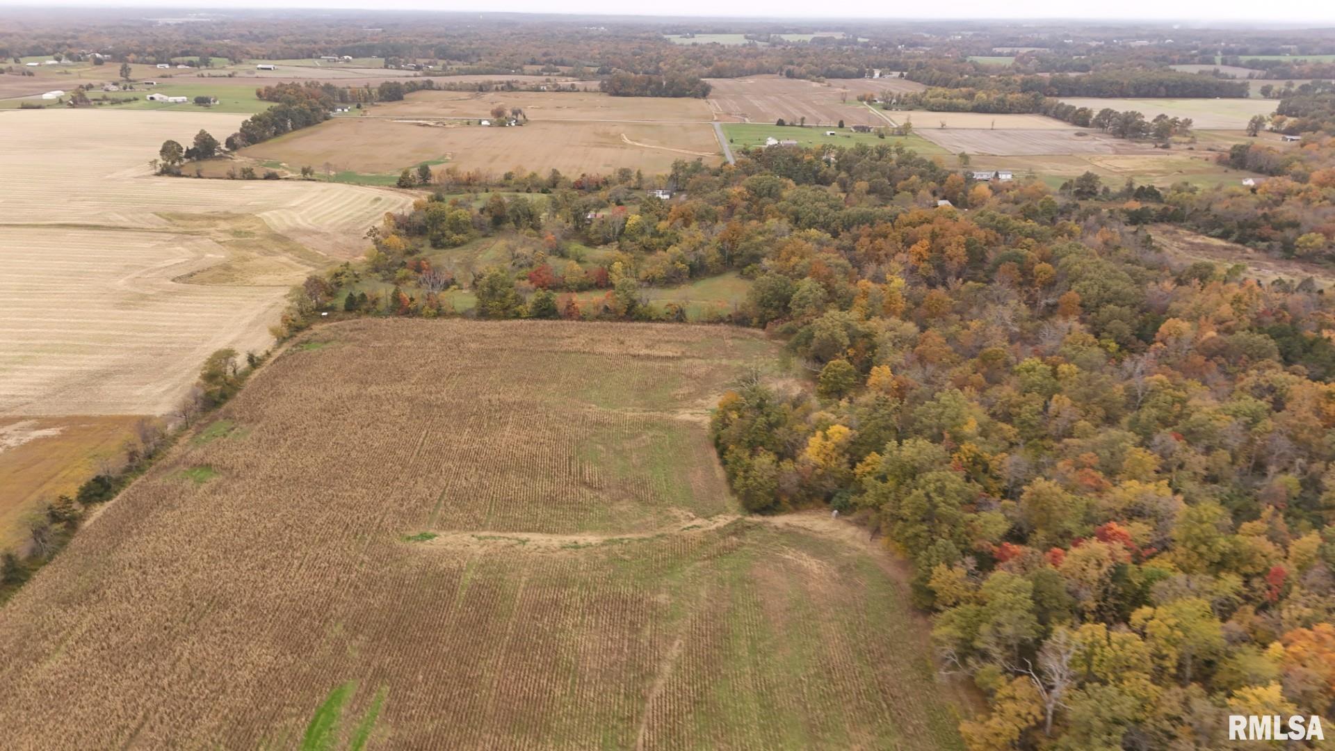 13536 Alleghany Road Thompsonville, IL 62890 - Photo 3 of 62