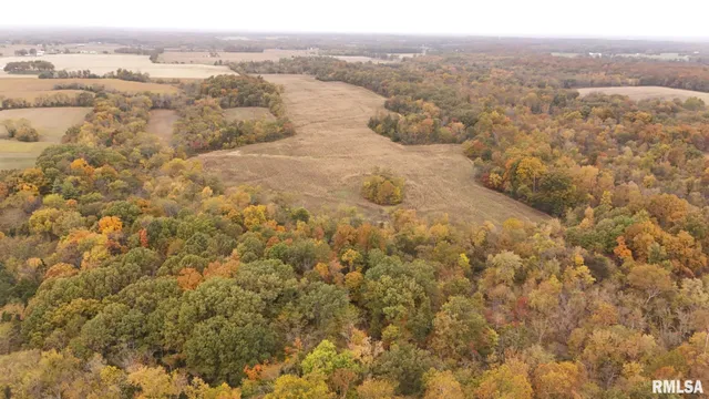 a view of a lake in between the bunch of trees