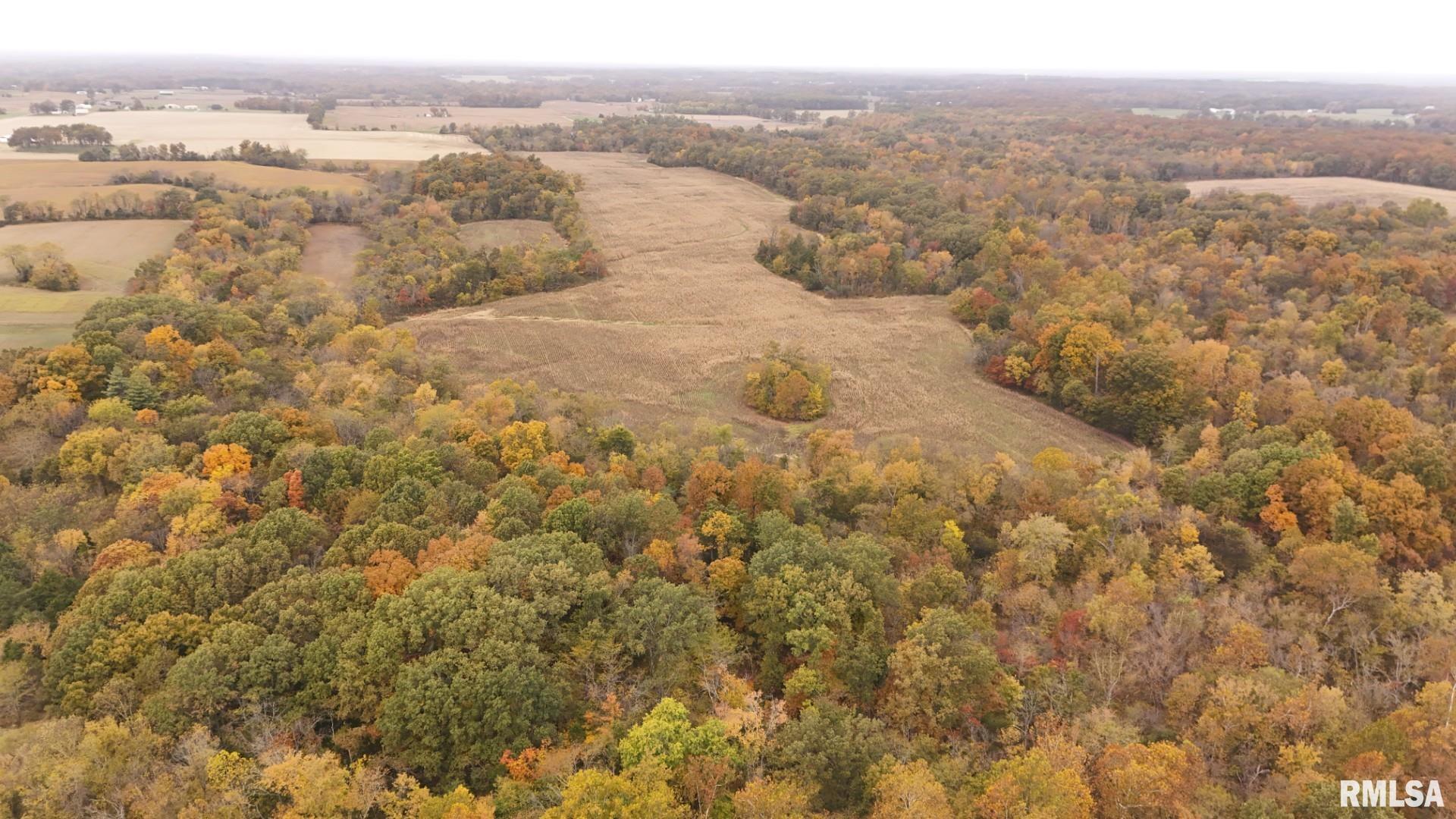 13536 Alleghany Road Thompsonville, IL 62890 - Photo 32 of 62