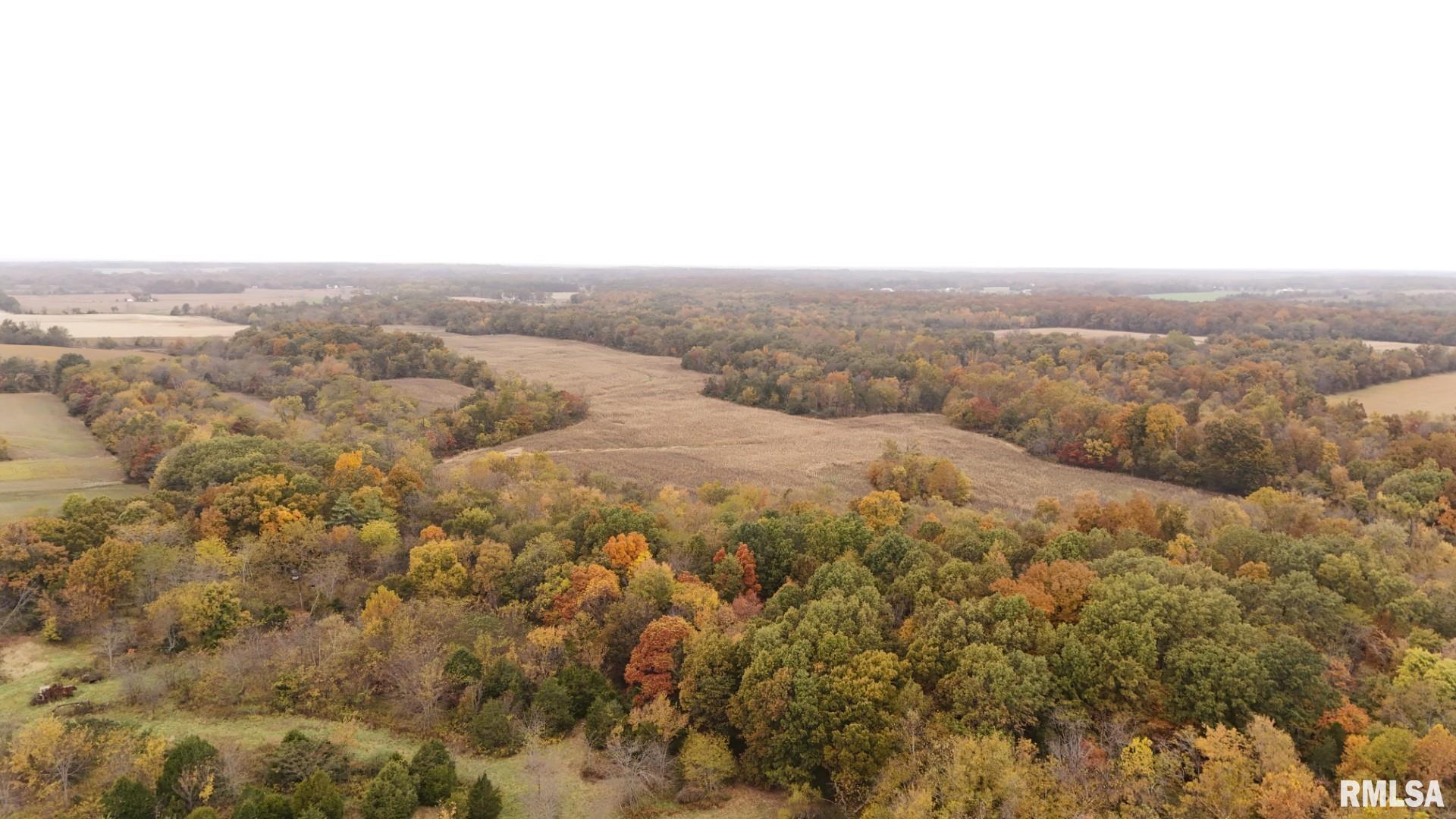 13536 Alleghany Road Thompsonville, IL 62890 - Photo 34 of 62 an aerial view of houses covered in trees