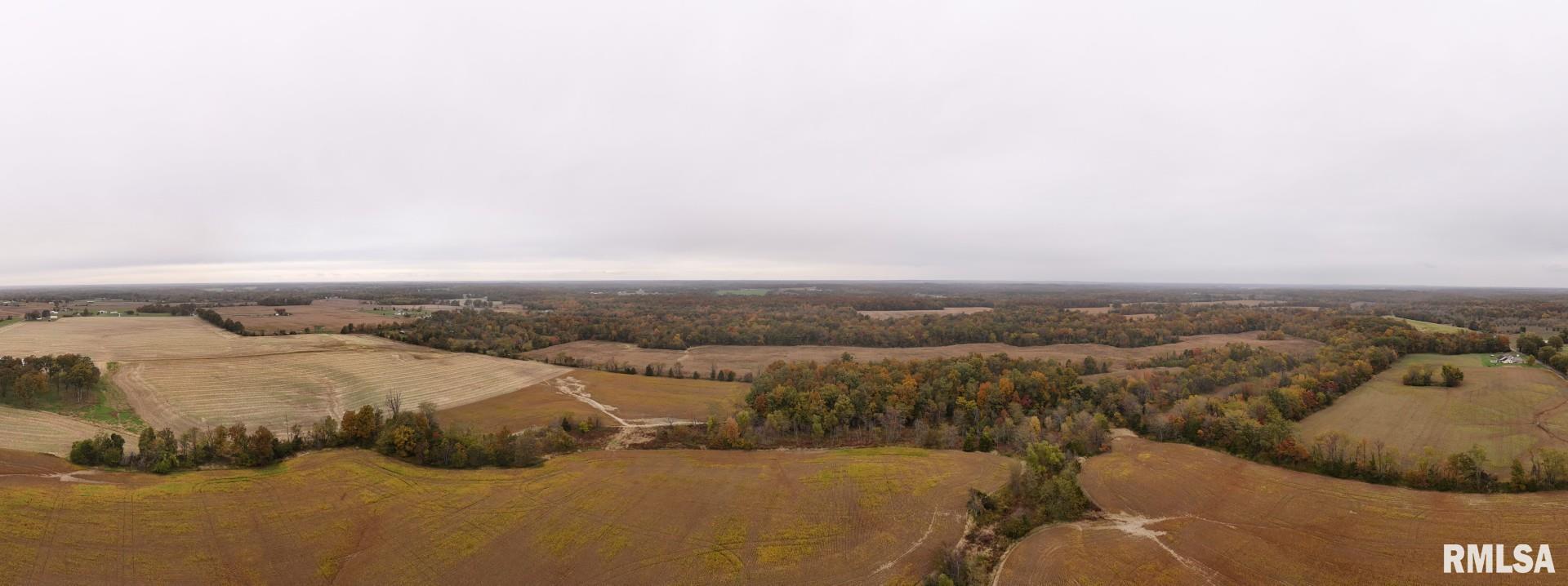 13536 Alleghany Road Thompsonville, IL 62890 - Photo 35 of 62 a view of city and mountain