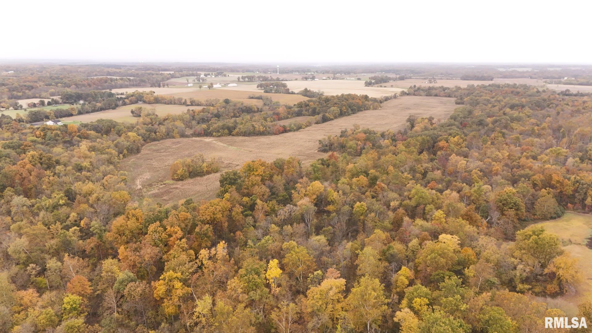 13536 Alleghany Road Thompsonville, IL 62890 - Photo 4 of 62 an aerial view of residential houses with outdoor space and trees