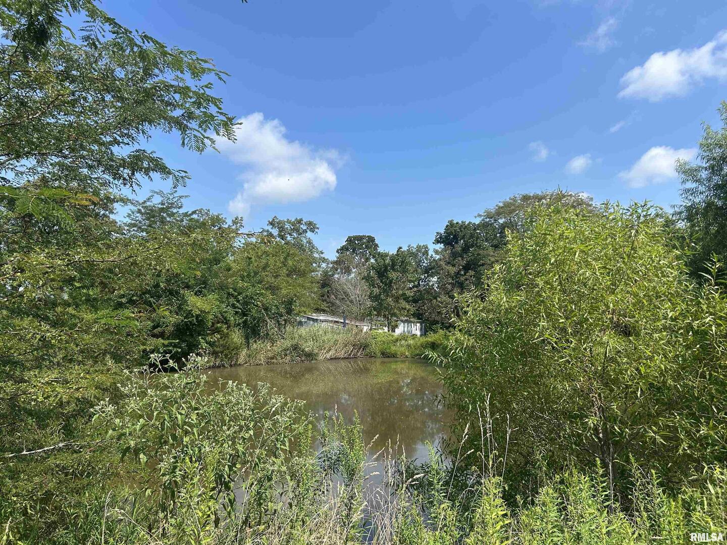 13536 Alleghany Road Thompsonville, IL 62890 - Photo 42 of 62 a view of a lake in between the bunch of trees