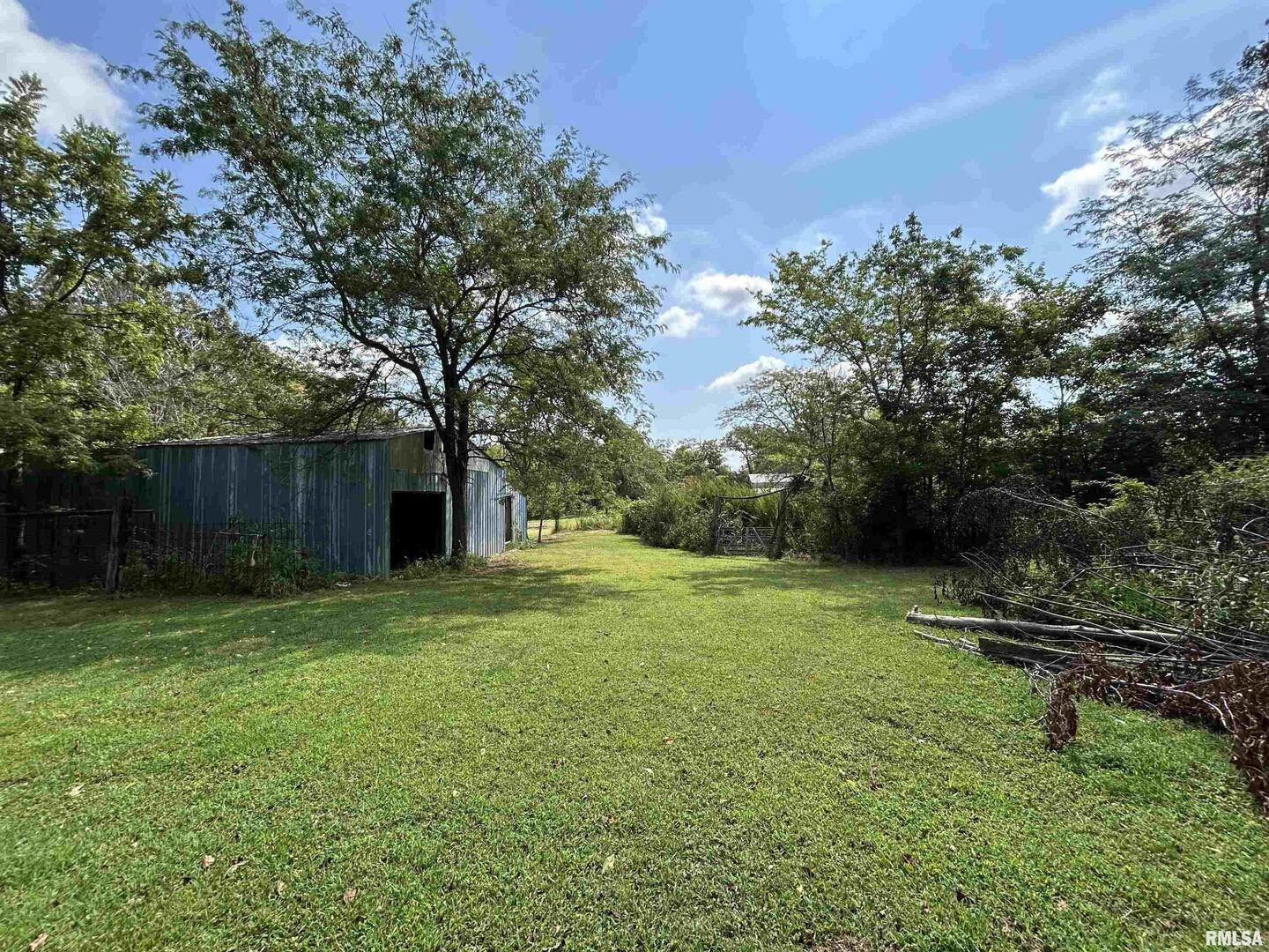13536 Alleghany Road Thompsonville, IL 62890 - Photo 54 of 62 a backyard of a house with lots of green space