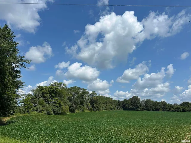 $1 | 13536 Alleghany Road, Thompsonville, IL 62890