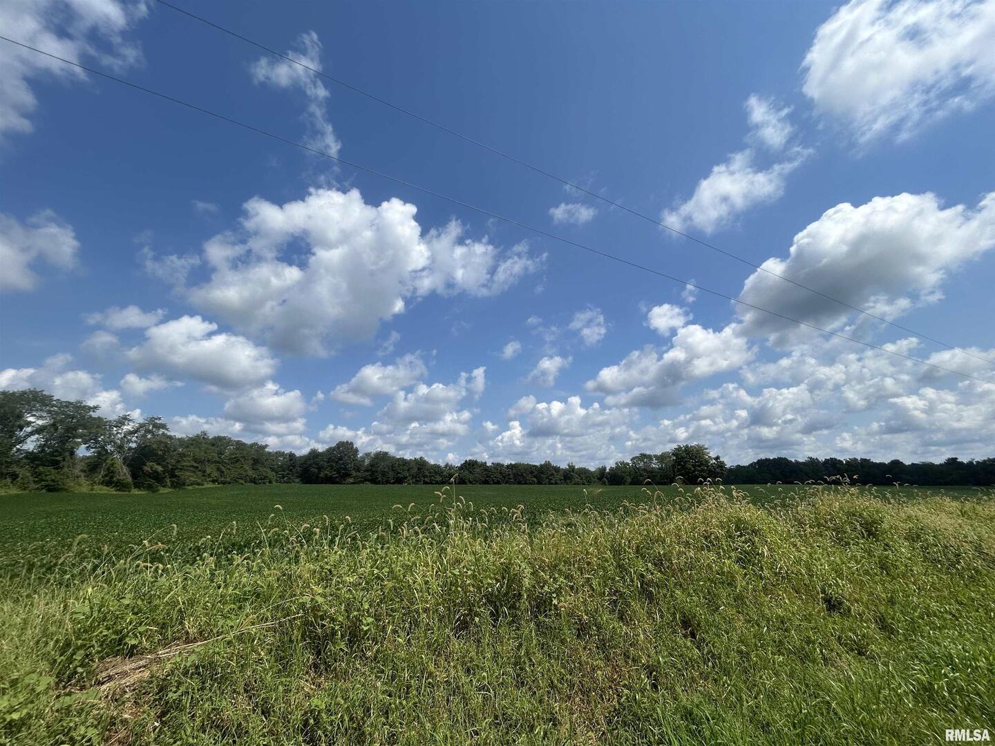 13536 Alleghany Road Thompsonville, IL 62890 - Photo 59 of 62 a view of swimming pool and mountain in the background