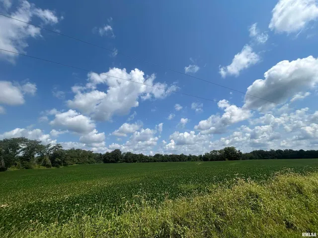 $1 | 13536 Alleghany Road, Thompsonville, IL 62890