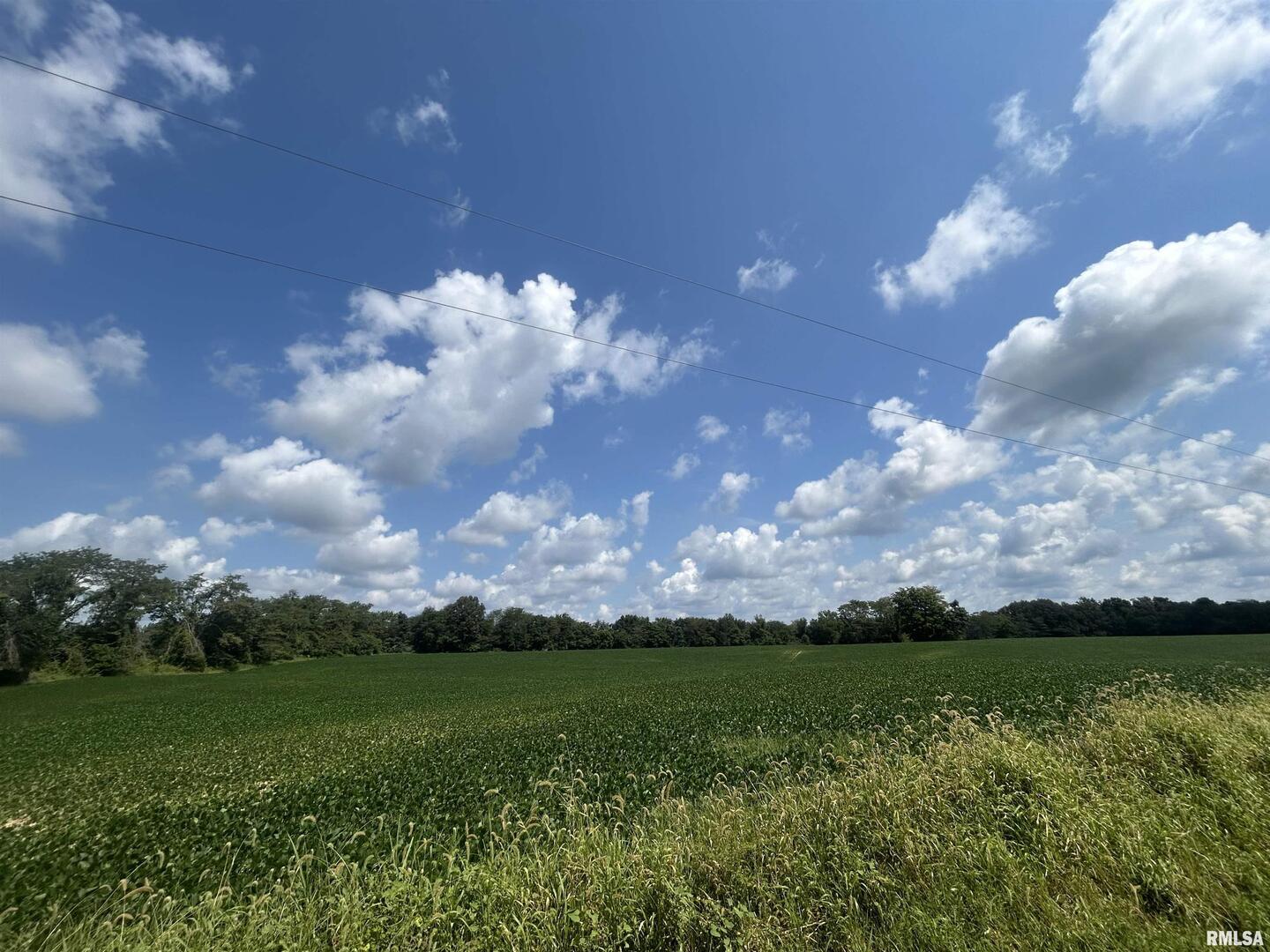 13536 Alleghany Road Thompsonville, IL 62890 - Photo 60 of 62 a view of a big yard with lots of green space