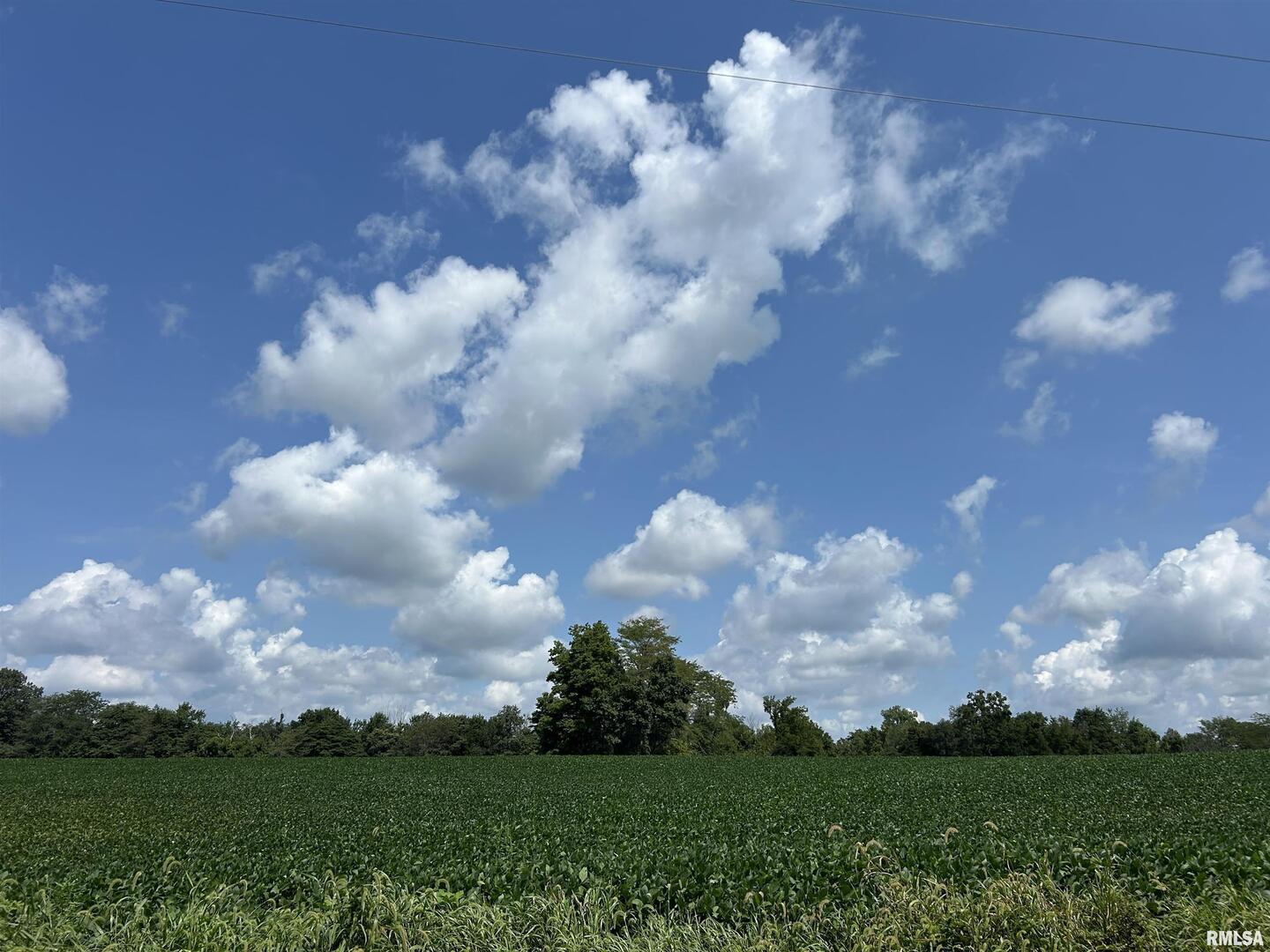 13536 Alleghany Road Thompsonville, IL 62890 - Photo 61 of 62 a view of a lot of trees in background