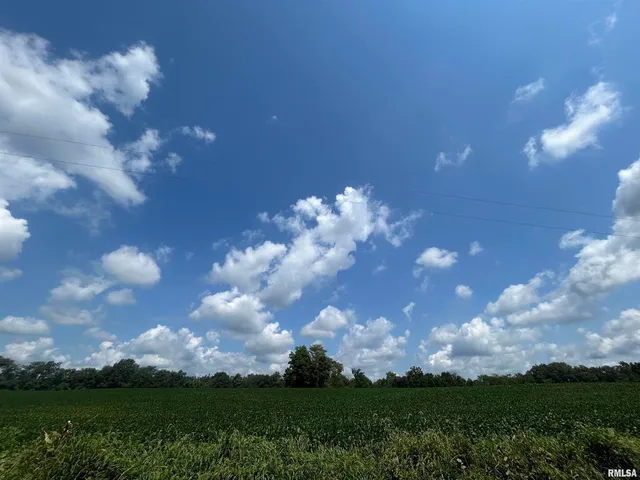 $1 | 13536 Alleghany Road, Thompsonville, IL 62890