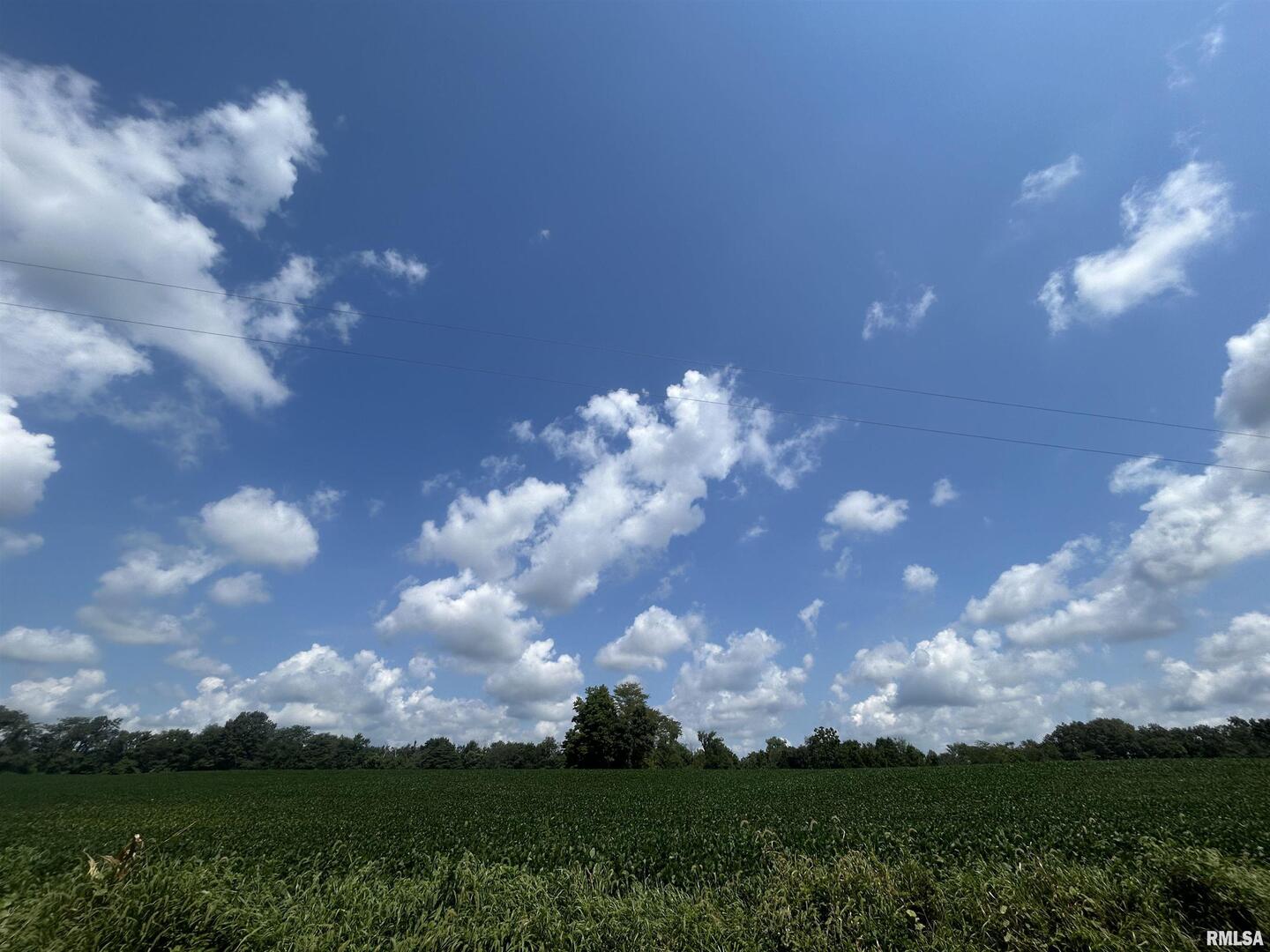 13536 Alleghany Road Thompsonville, IL 62890 - Photo 62 of 62 a view of a big yard with lots of green space and mountain view