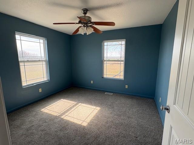 1013 Z And Z Road Greenville, IL 62246 - Photo 11 of 30