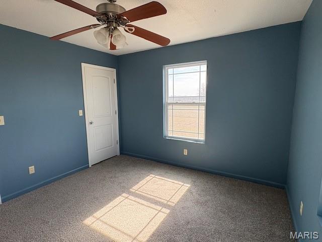 1013 Z And Z Road Greenville, IL 62246 - Photo 12 of 30