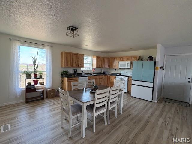 1013 Z And Z Road Greenville, IL 62246 - Photo 17 of 30