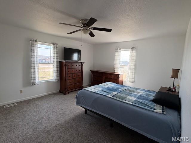 1013 Z And Z Road Greenville, IL 62246 - Photo 8 of 30