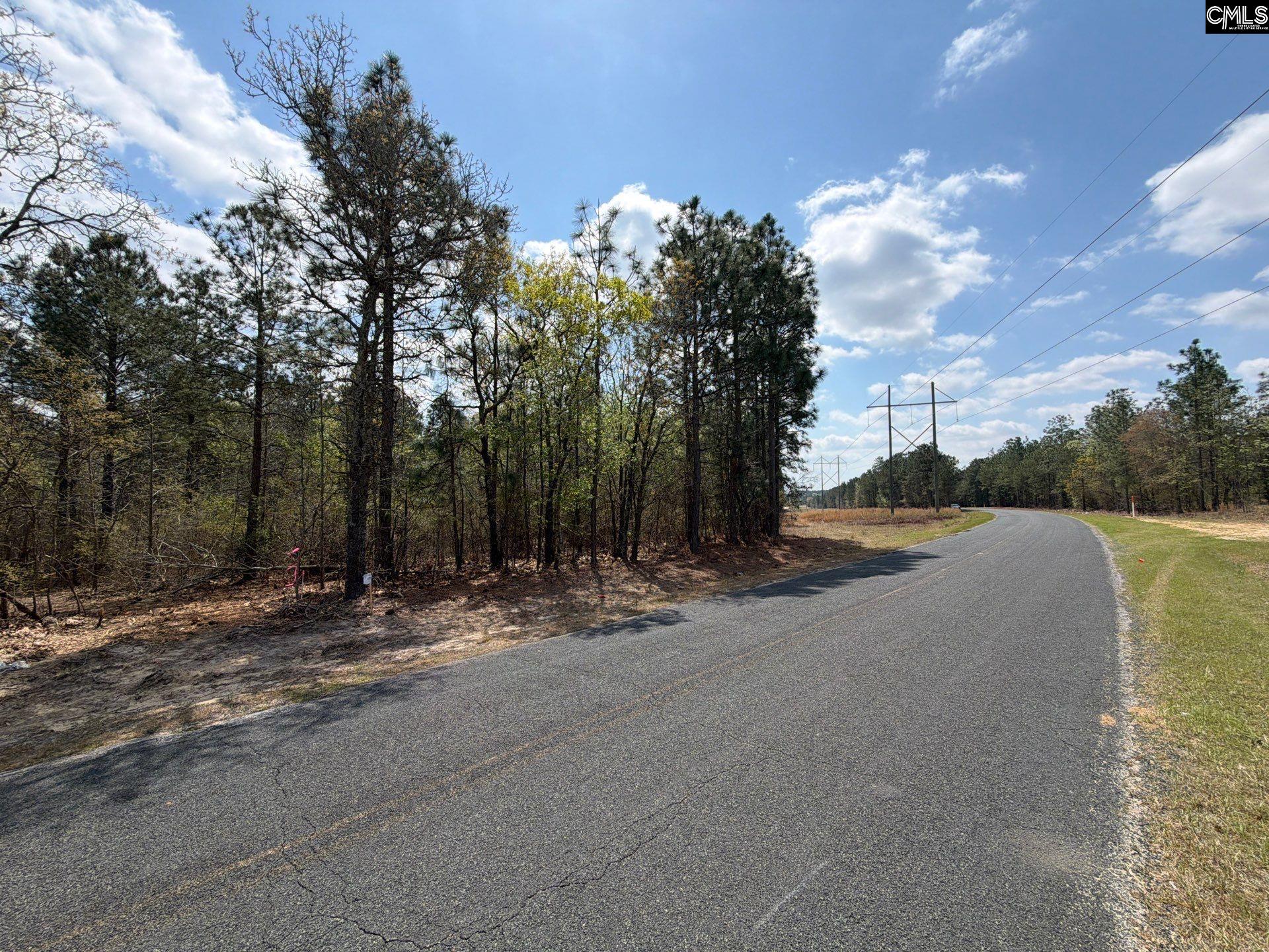 3 Mt Calvary Rd Ridge Spring Ridge Spring, SC 29129 - Photo 5 of 27
