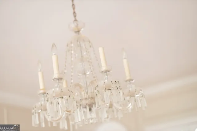 a close view of shrubs